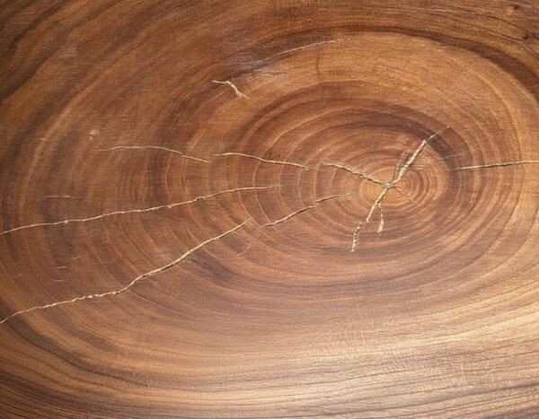 Kinsugi bog oak
